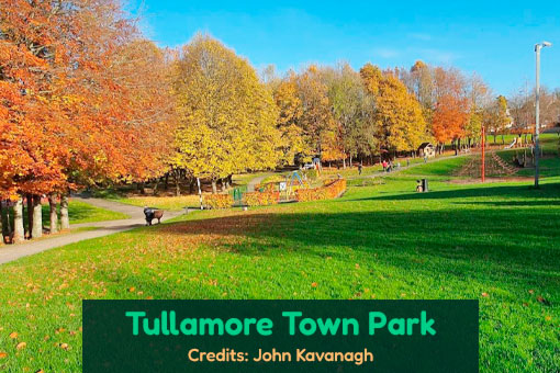 Tullamore's Top Dog Services Tullamore's Top Dog Services