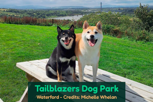 Waterford's Top Dog Services Waterford's Top Dog Services