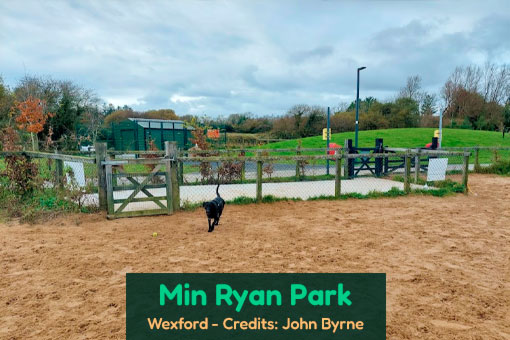 Wexford's Top Dog Services Wexford's Top Dog Services