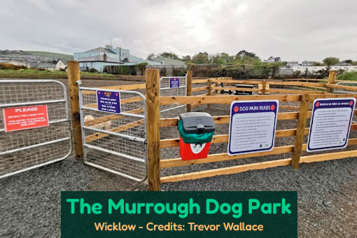 Wicklow's Top Dog Services Wicklow's Top Dog Services